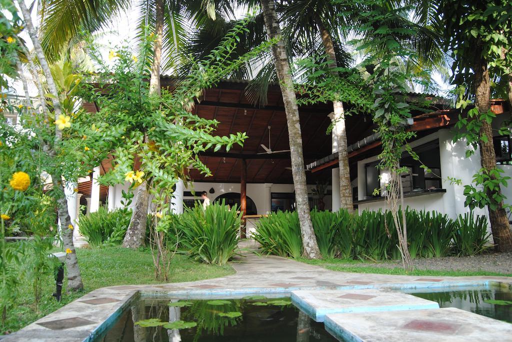 Paradise Garden Unawatuna Exteriör bild